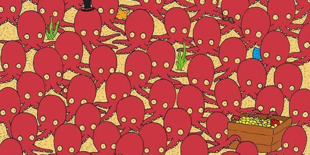 Lantas Dimanakah Ikan itu Bersembunyi?