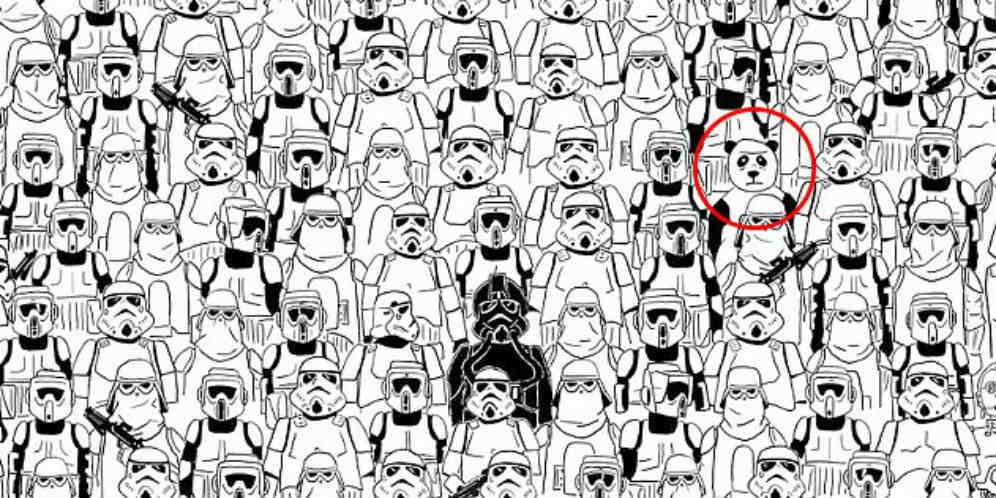 Ada Panda Diantara Strormtrooper