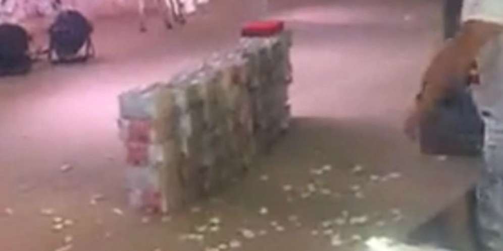 Angpao Tamu Minimal...