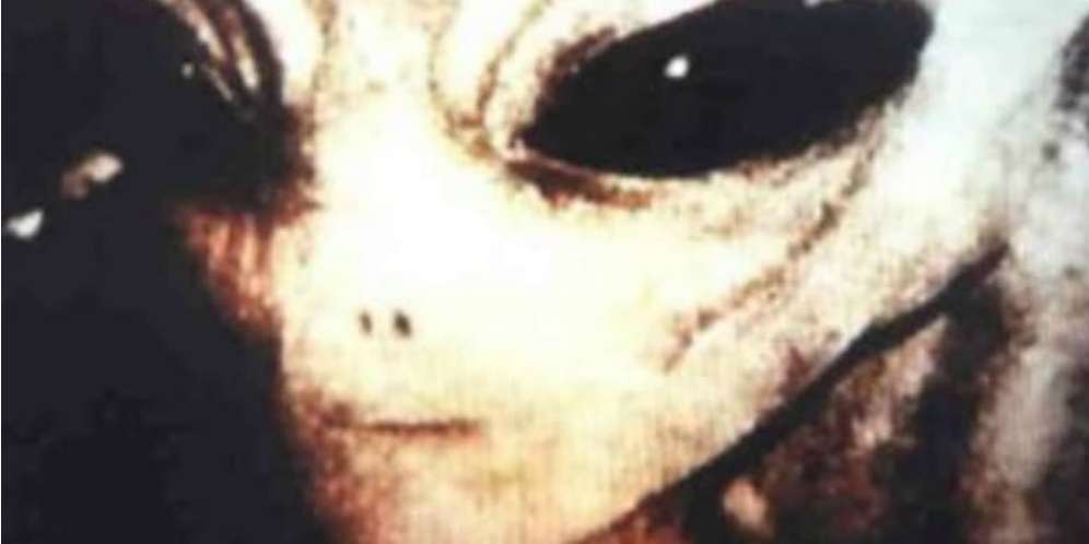 15. Foto Close-up Alien Abu-abu