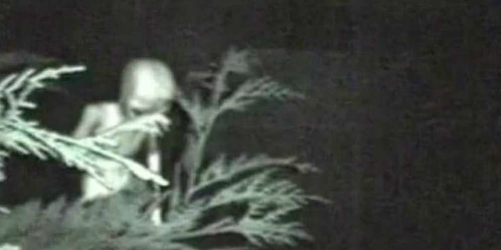 7. Alien di Antara Pepohonan