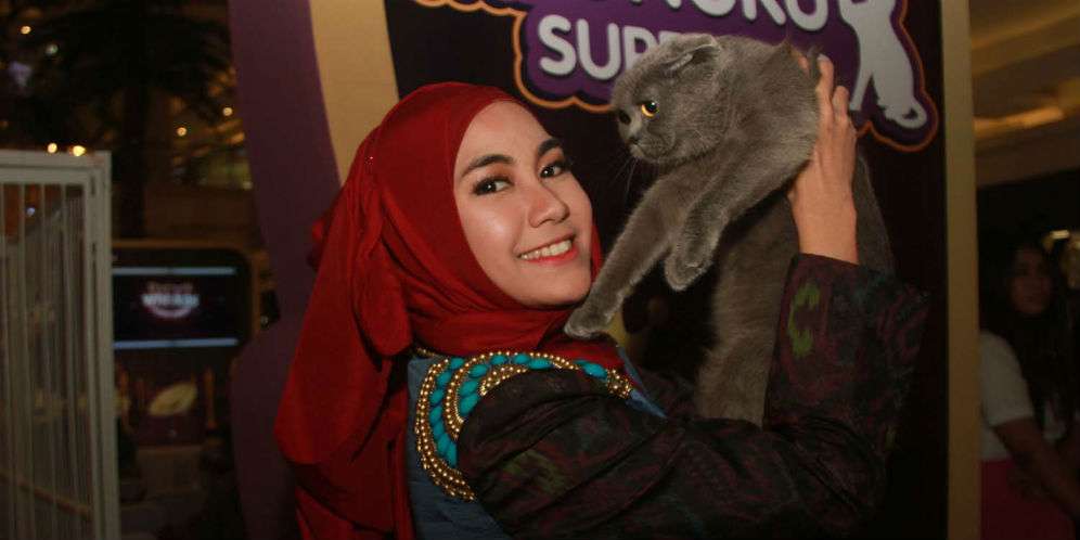 Panik Saat Kucing Sakit