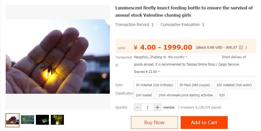 Menjual Kunang-kunang