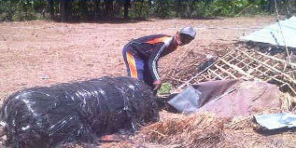 Bagaimana Bisa Jatuh di Madura?