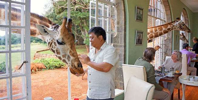 Makan Bersama Jerapah