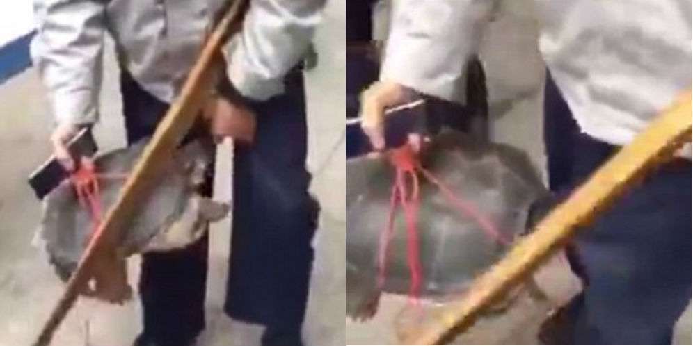 Ini Videonya