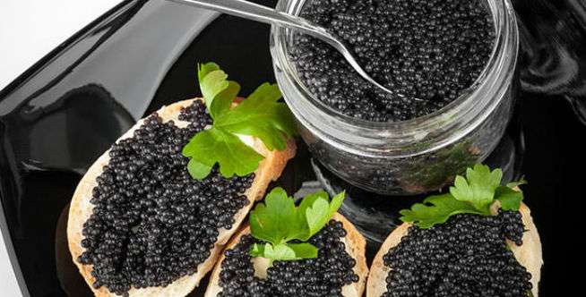 Caviar