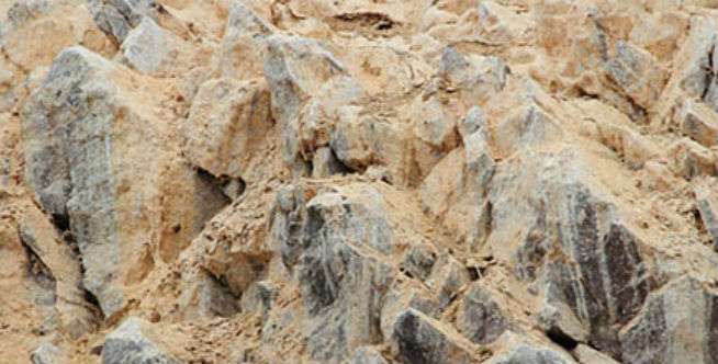 Guano