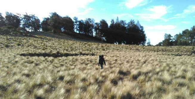 Misteri 'Pasar Setan' Gunung Lawu yang Ditakuti Para Pendaki
