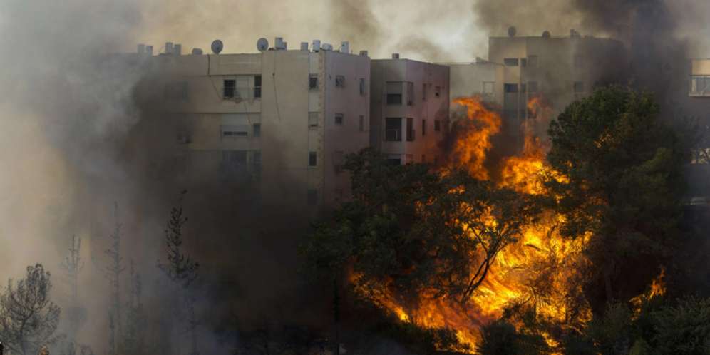 Palestina Ikut Membantu