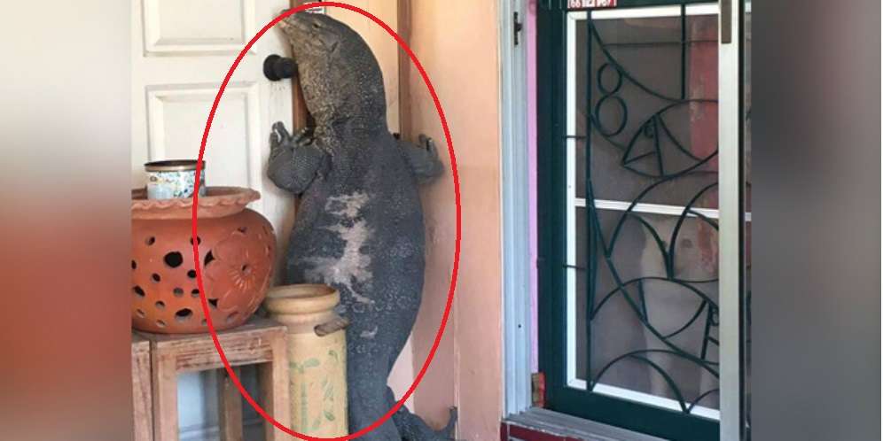Suara Pintu Diketuk Keras, Tamu Tak Diundang Itu Ternyata...