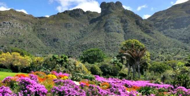 Ini yang Paling Indah