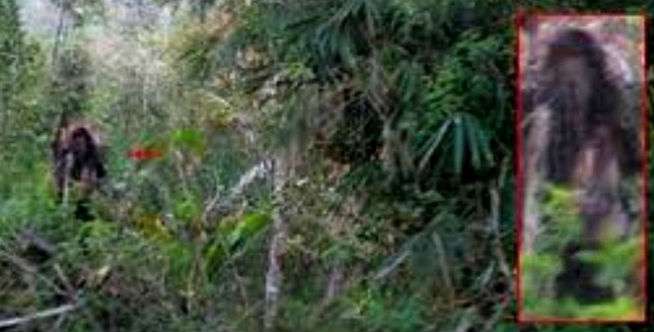 Setan Jahat di Sungai Angker