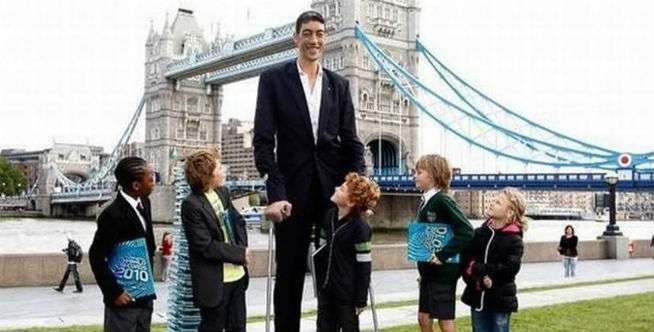 Urutan 5 Sampai Tetinggi di Dunia