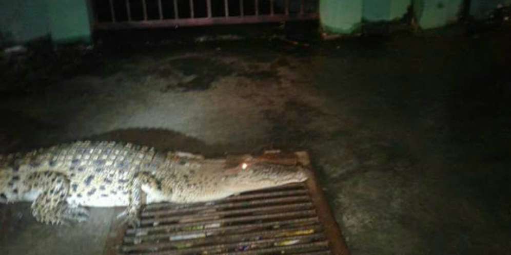 Astagfirullah, Isi Kolam di Masjid Itu Ternyata...