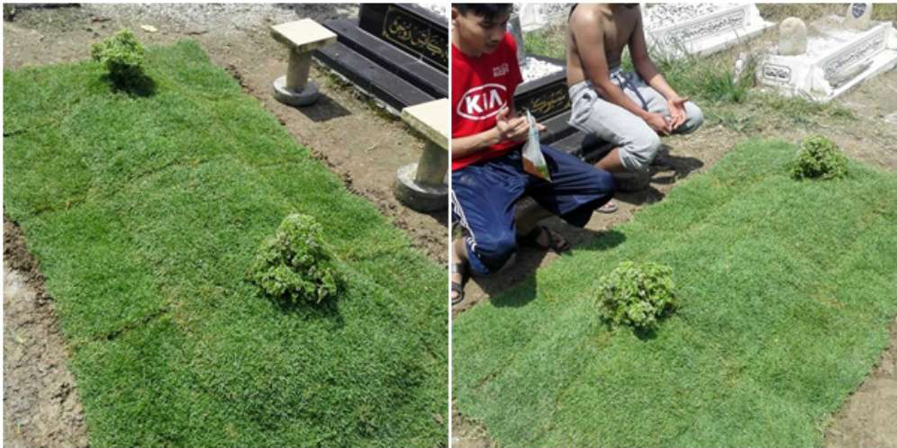 Setiap Helai Rumput Berdoa