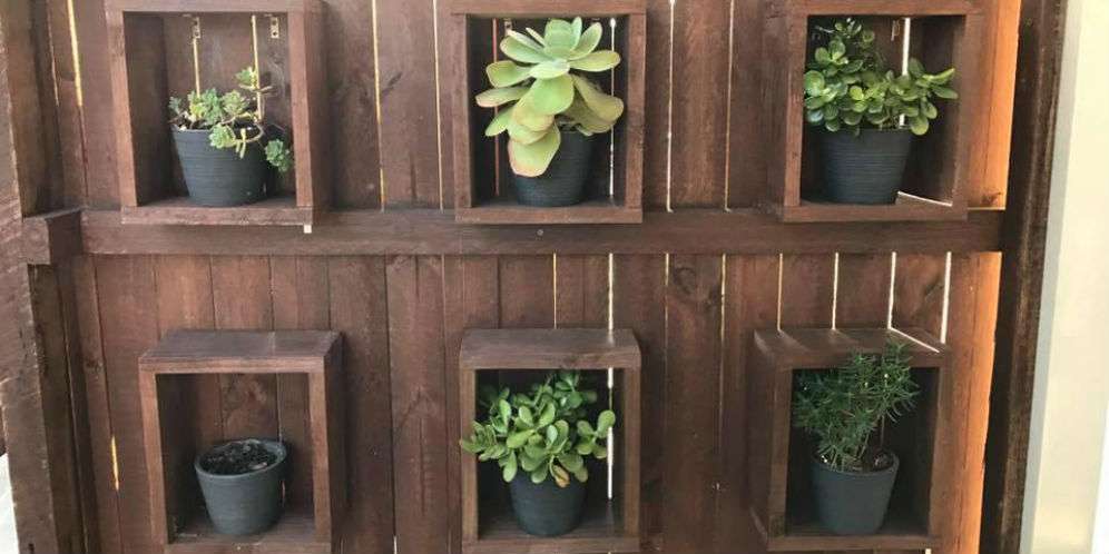Pot Inilah yang Berisi Ular