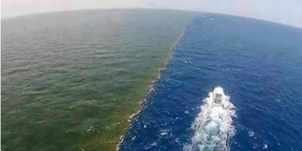 Bukti Surat Ar Rahman 19-21