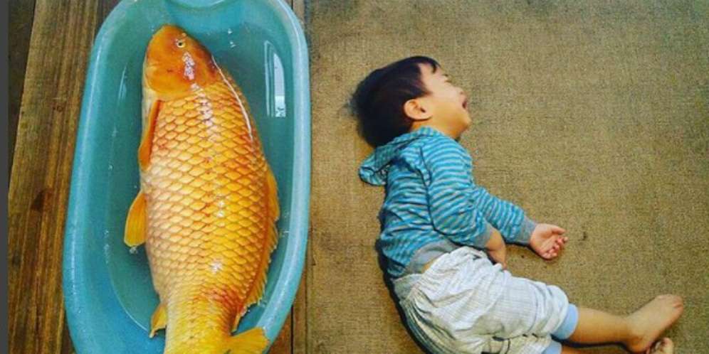 Terenyuh, Tangis Anak Irfan Hakim Kehilangan Ikan Kesayangan