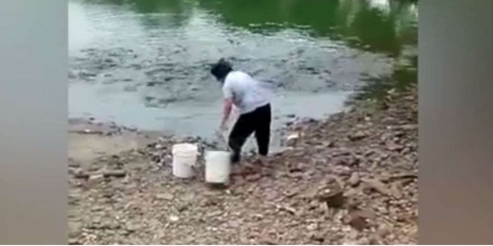 Inilah Videonya