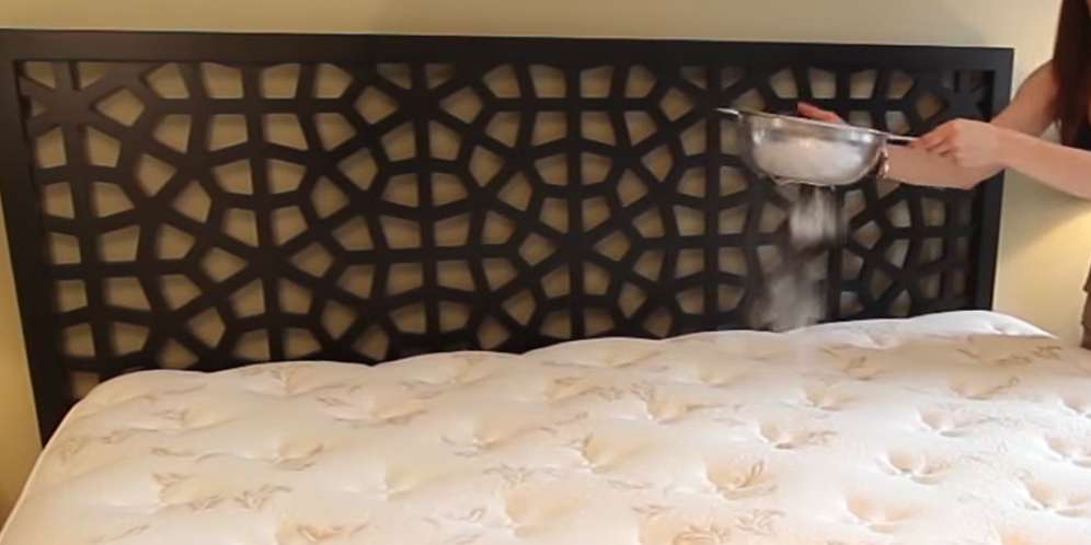Wow! Lihat Nih Videonya