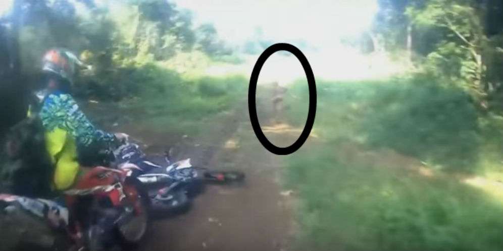 Sosok Manusia Kerdil Terekam di Hutan Aceh, Diduga Suku Mante