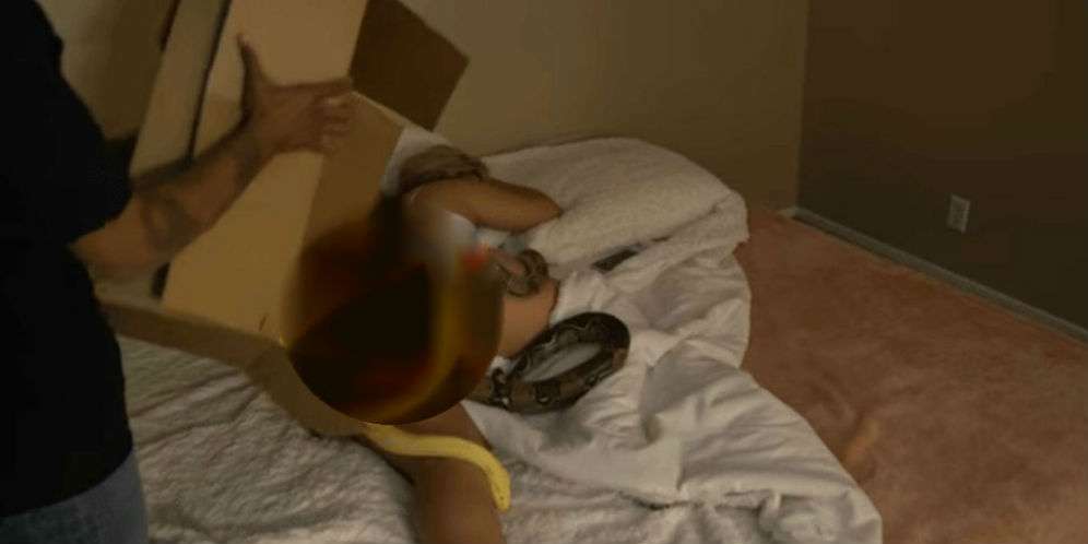 Membuat Mangsa Tetap Utuh