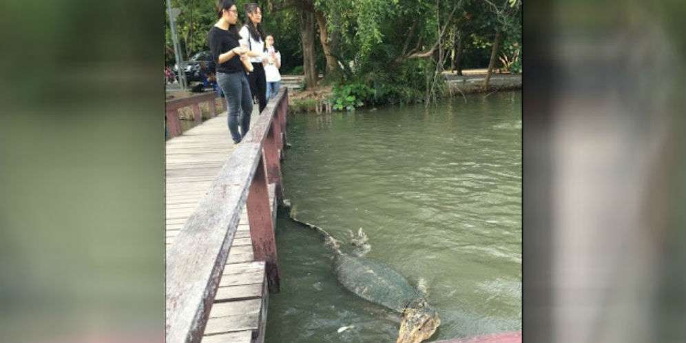 Tidak Berbahaya