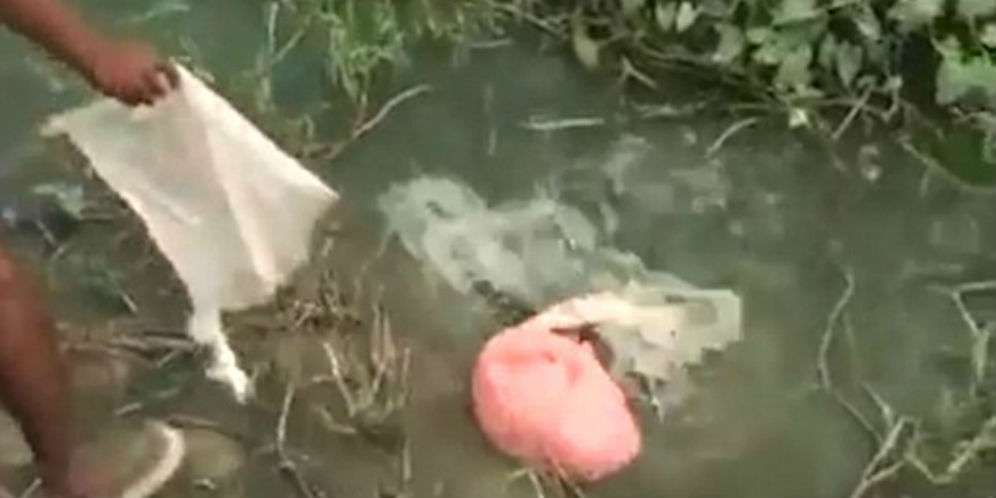 Kolam Awalnya Tenang, Ditaruh Umpan Ternyata Mengejutkan