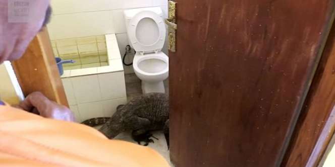 Ada Suara Aneh dari Toilet Hotel di Indonesia, Ternyata...