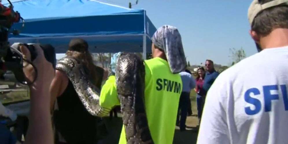 Ada yang Ukurannya Lebih Besar