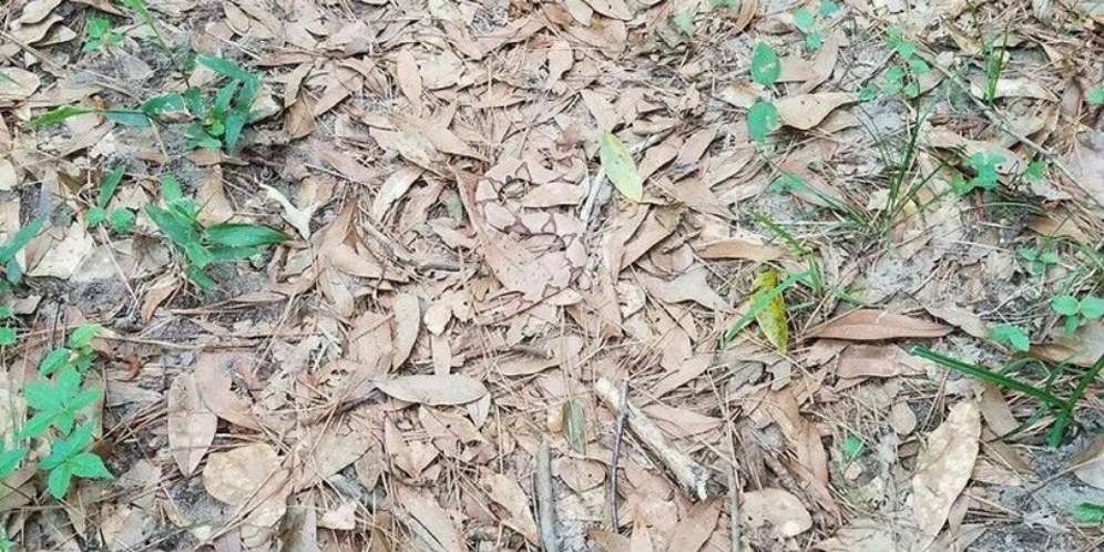 Banyak yang Merinding Lihat Foto Biasa Ini, Ada yang Janggal?