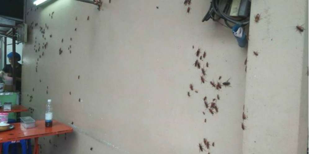 Saya Merasa Jijik, tapi Lapar