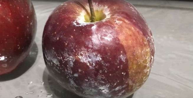 Ditutupi Lapisan Lilin