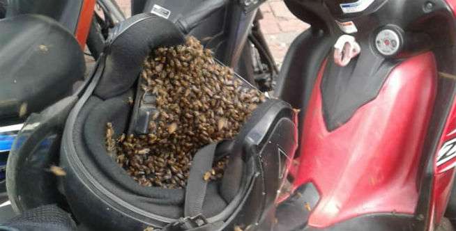 Astaga Helmnya Dipenuhi...