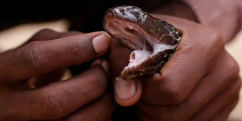 Mengapa Istri Izinkan?