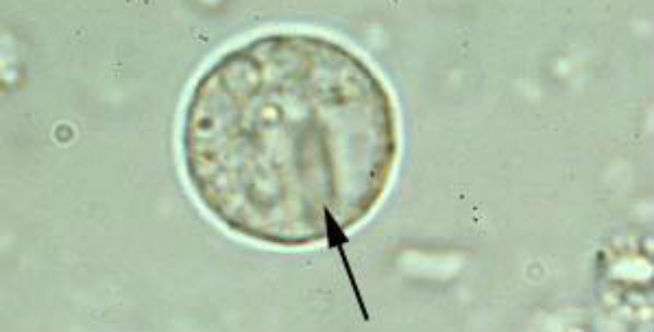 Setelah Diperiksa, Ternyata Kena...