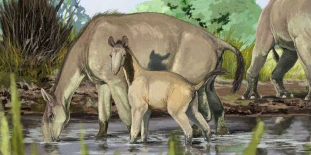 Garis Keturunan Terakhir Dinosaurus
