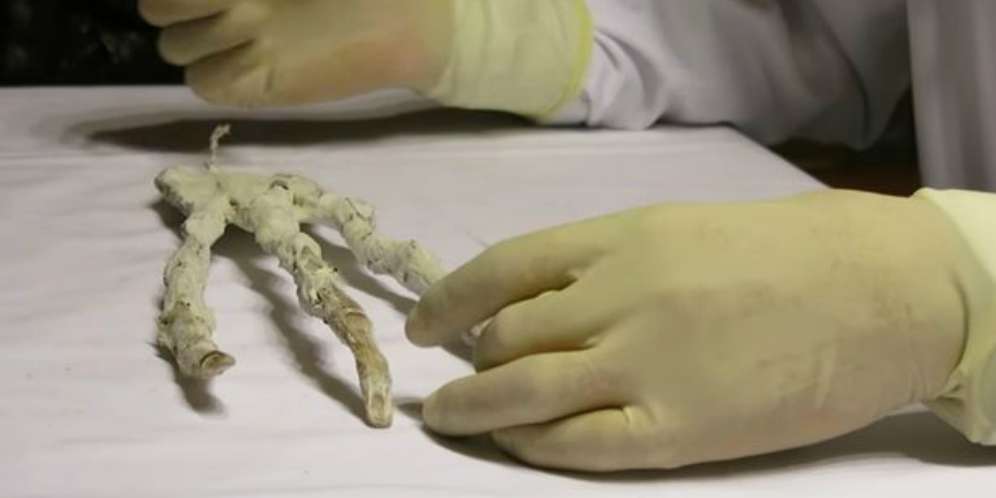 Hasil Penelitian Ternyata....