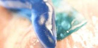 Terinspirasi oleh Alam