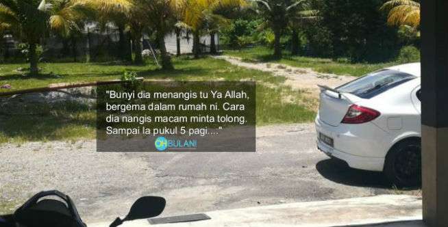 Suara Tertawa, Mengaum dan Ketukan Pintu