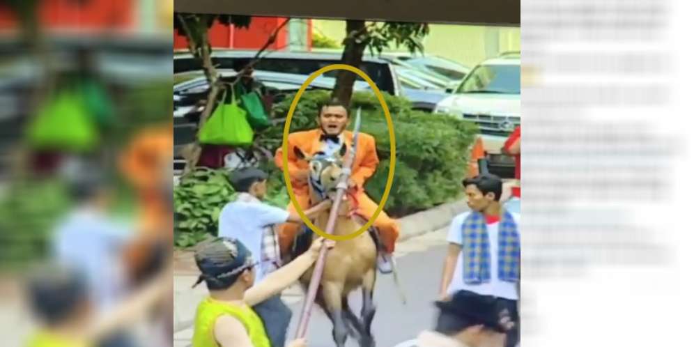 Kuda Mendadak Ngamuk