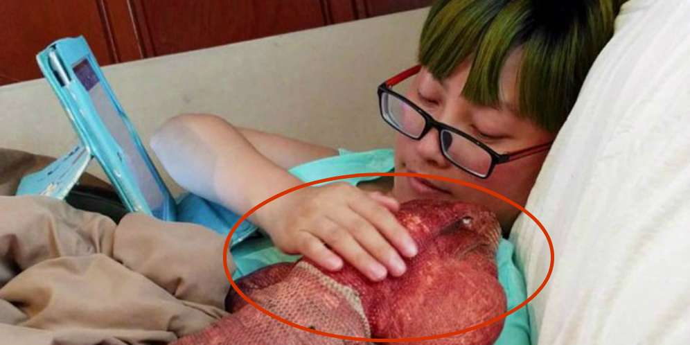 Bukan Kucing dan Anjing! Peliharaan Wanita Ini Hebohkan Medsos