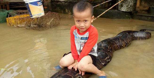 Lihat Videonya