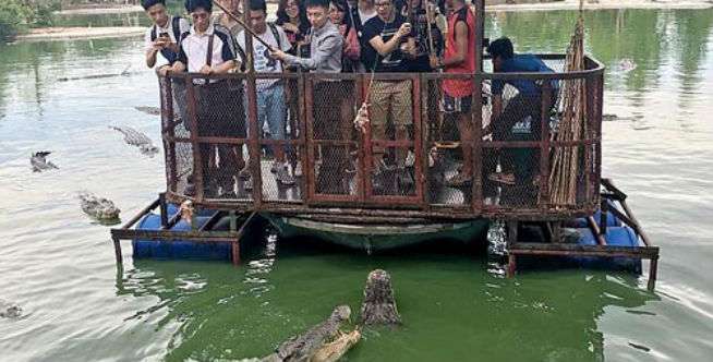 Dikritik Warganet Seluruh Dunia