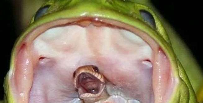 Tak Diketahui Siapa Fotografernya