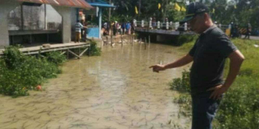Ini Videonya