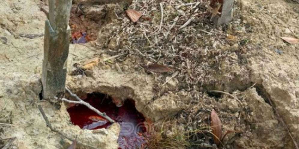 Geger Kuburan di Kalimantan Tiba-tiba Keluarkan Darah Segar