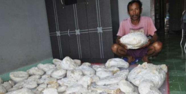 Jarang Ditemukan dan Sangat Langka