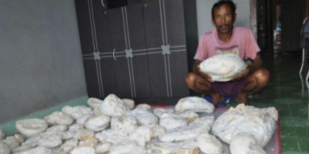 Muntahan Ikan Paus Ditawar Rp3,3 Miliar, Nelayan Kaya Mendadak